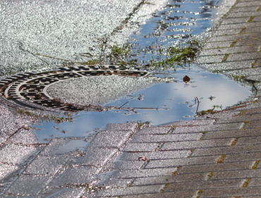 https://www.auswideroofing.com.au/service/gutter-repairs/
