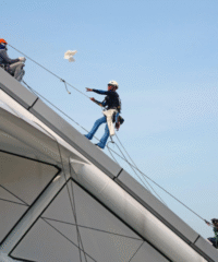 Untitled (400 x 480 px)