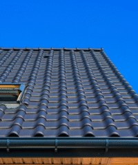 Untitled (400 x 480 px) (3)