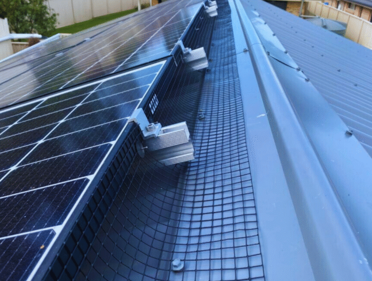 bird roofing bird roofing